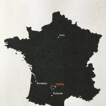 Daire Joli Cocon 1er Central